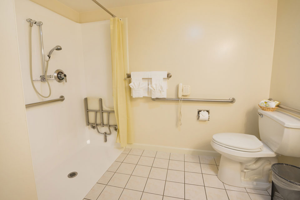Bathroom Accessibility Features